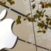 Apple loses bid to revive US copyright claims over iOS simulation