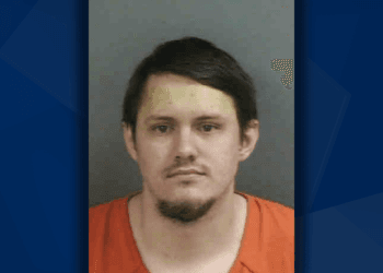 Collier County man arrested after providing baby for intercourse on relationship app