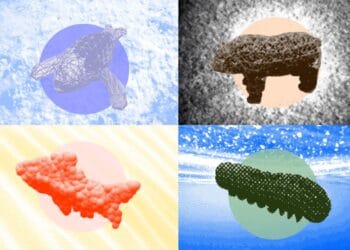 Open-source platform simulates wildlife for mushy robotics designers