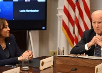 President Biden meets with AI CEOs on the White Home amid moral criticism