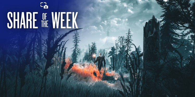 Share of the Week: Consolation Sport – PlayStation.Weblog Share of the Week: Consolation Sport – PlayStation.Weblog